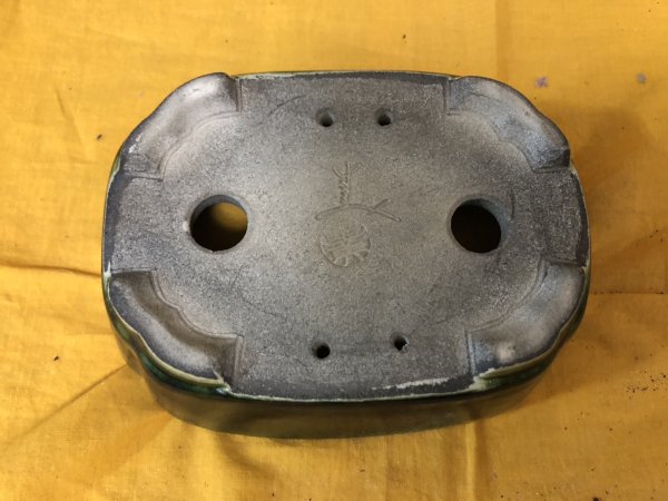 Photo3: No.SA6486 Satomi (3)