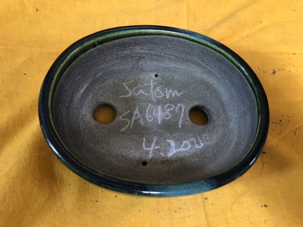 Photo2: No.SA6487 Satomi (2)