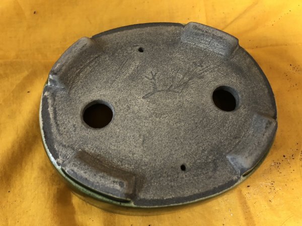 Photo3: No.SA6487 Satomi (3)