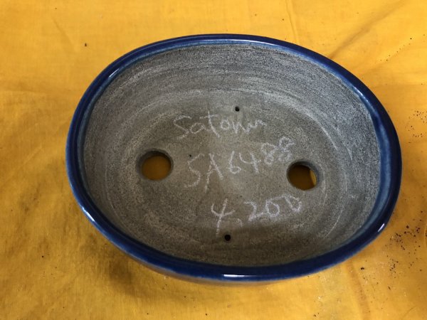 Photo2: No.SA6488 Satomi (2)