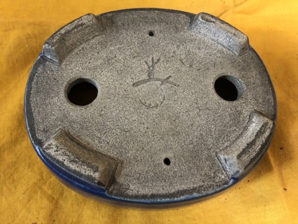 Photo3: No.SA6488 Satomi (3)