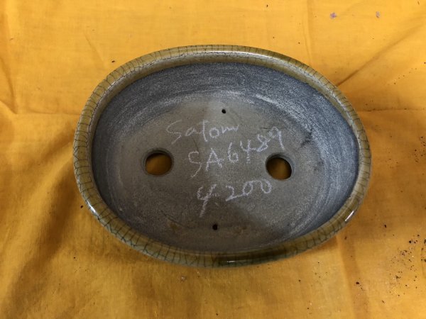 Photo2: No.SA6489 Satomi (2)