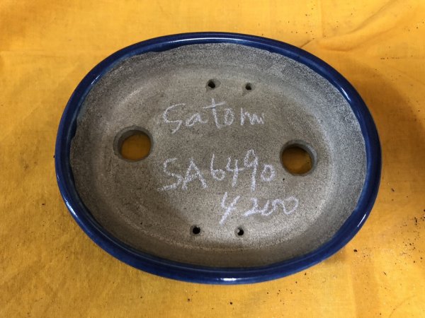 Photo2: No.SA6490 Satomi (2)