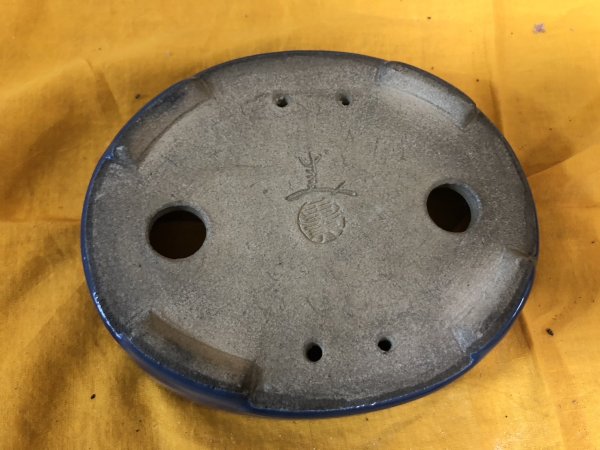 Photo3: No.SA6490 Satomi (3)