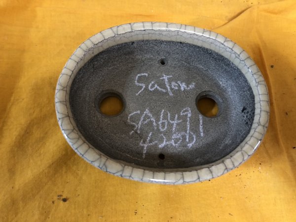 Photo2: No.SA6491 Satomi (2)