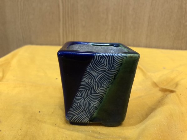 Photo1: No.SA6492 Satomi (1)