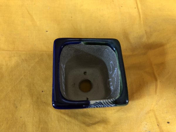 Photo2: No.SA6492 Satomi (2)