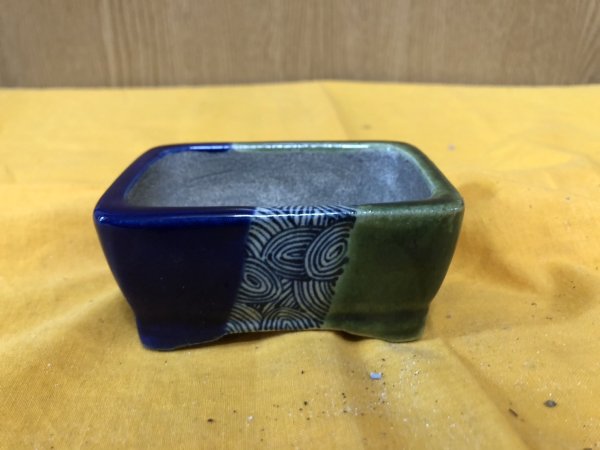 Photo1: No.SA6494 Satomi (1)