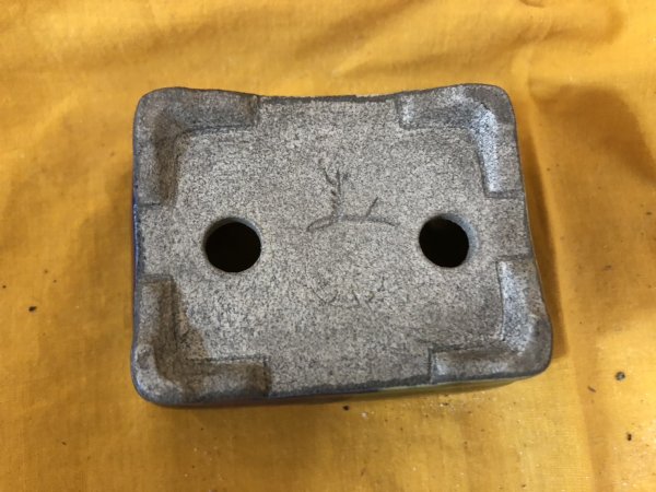 Photo3: No.SA6494 Satomi (3)