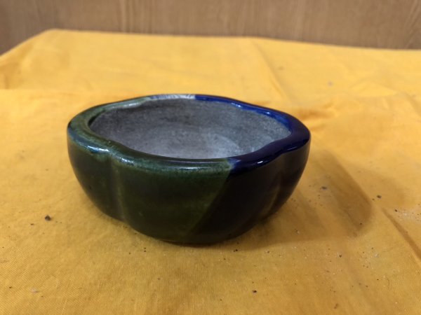 Photo1: No.SA6495 Satomi (1)