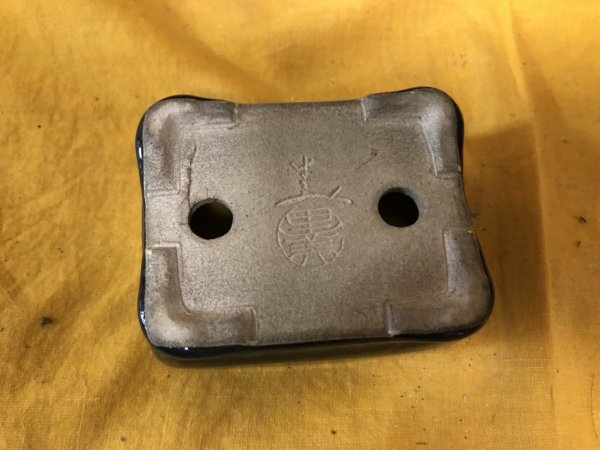 Photo3: No.SA6496 Satomi (3)