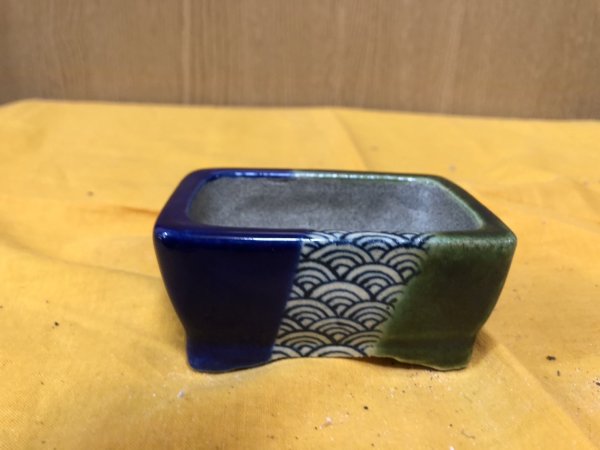 Photo1: No.SA6497 Satomi (1)