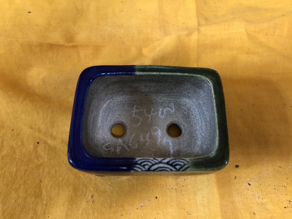 Photo2: No.SA6497 Satomi (2)