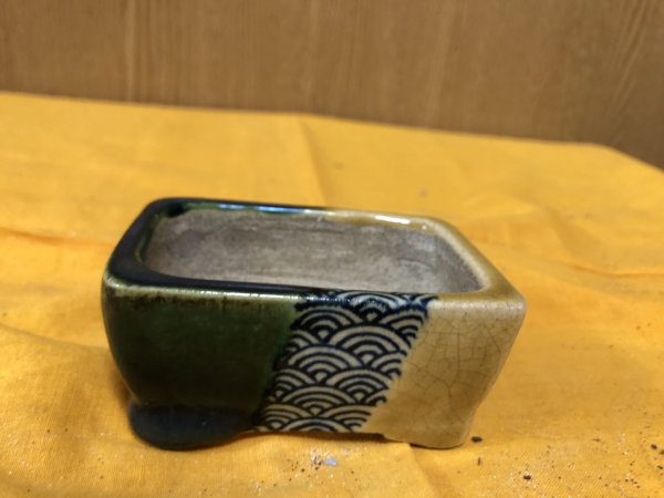 Photo1: No.SA6498 Satomi (1)