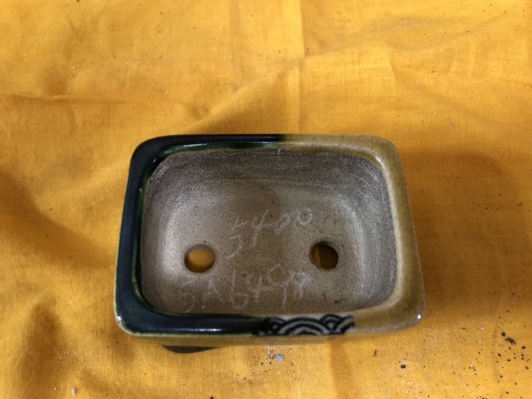 Photo2: No.SA6498 Satomi (2)