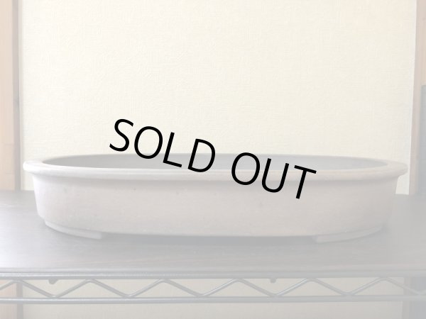 Photo1: No.YA3733  Reiho (1)