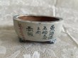 Photo2: MA6533  Tosui (2)