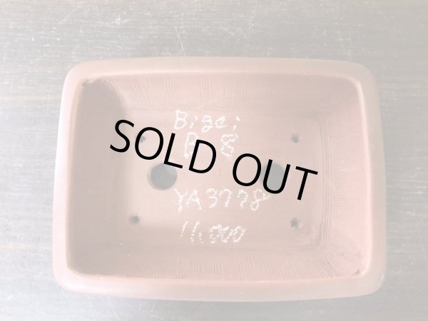 Photo2: No.YA3778  Bigei (2)