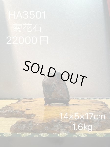 Photo7: No.HA3501  Kikka ishi (7)