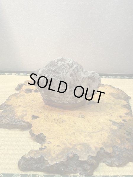 Photo2: No.HA3502  Arakawasarasa ishi (2)