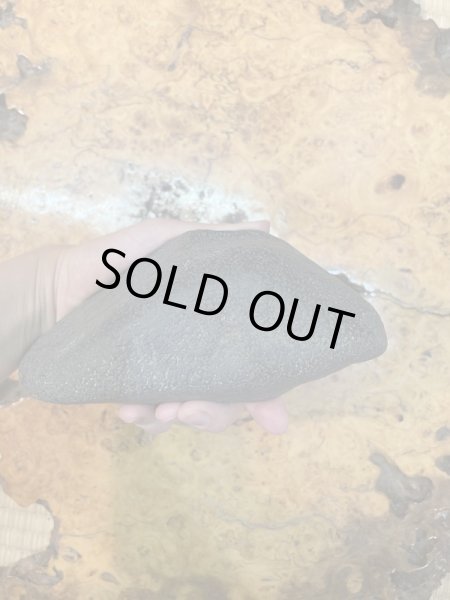 Photo5: No.HA3507  Setagawa ishi (5)