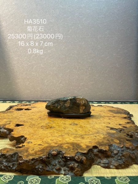 Photo6: No.HA3510  Kikka ishi (6)