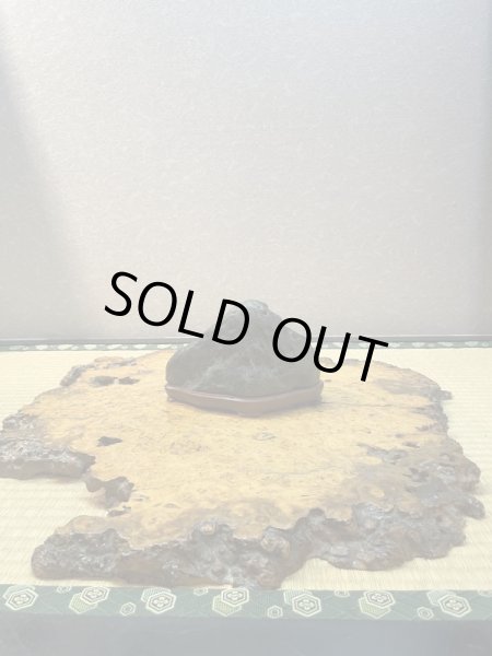 Photo2: No.HA3512  Tadamigawa ishi (2)