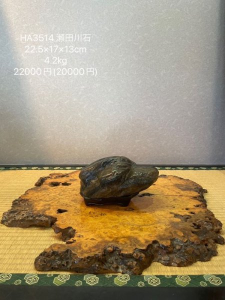 Photo8: No.HA3514  Setagawa ishi (8)