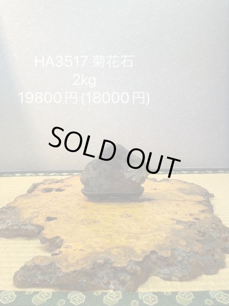 Photo7: No.HA3517  Kikka ishi (7)