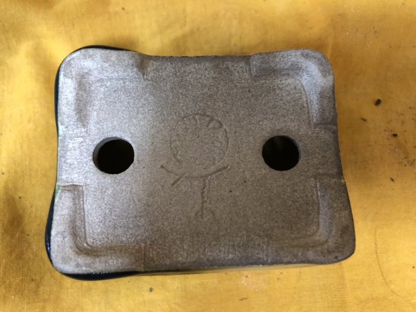 Photo3: No.SA6498 Satomi (3)