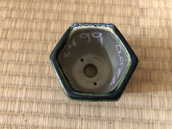 Photo2: No.SA6499 Satomi (2)