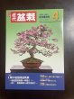 Photo1: No.Kinbon Sea  Kinbon subscription by sea Annual subscription ( 12 copies ) Postage by sea (1)