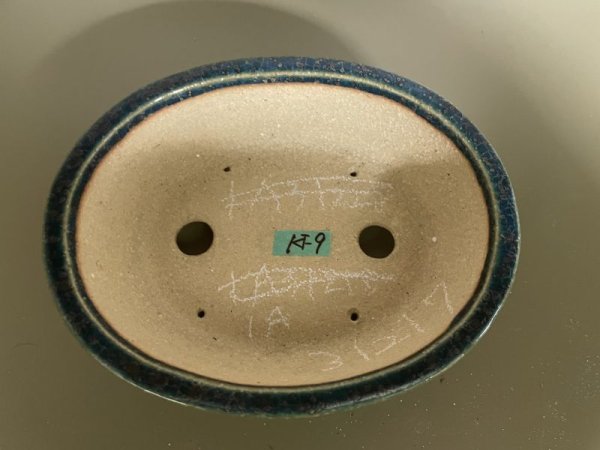 Photo2: No.IA31217 Koyo (2)