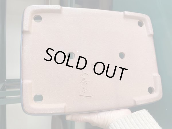 Photo3: No.IA31280 Yamafusa (3)