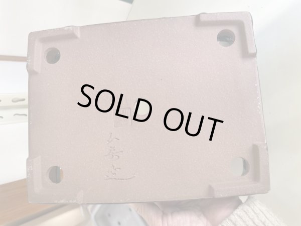 Photo3: No.IA31283 Yamafusa (3)