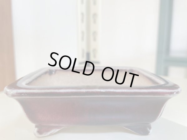 Photo1: No.IA31288 Koyo (1)