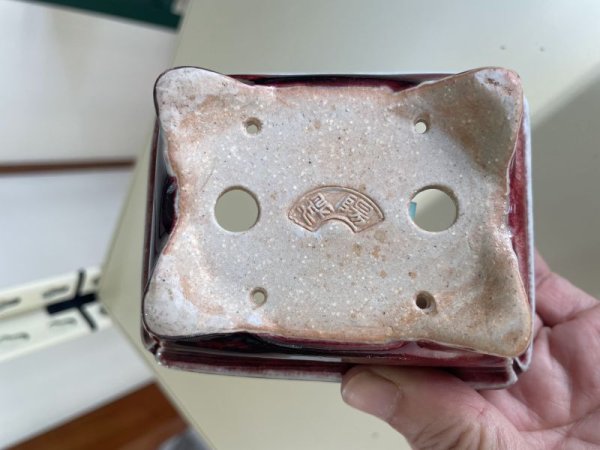 Photo3: No.IA31288 Koyo (3)